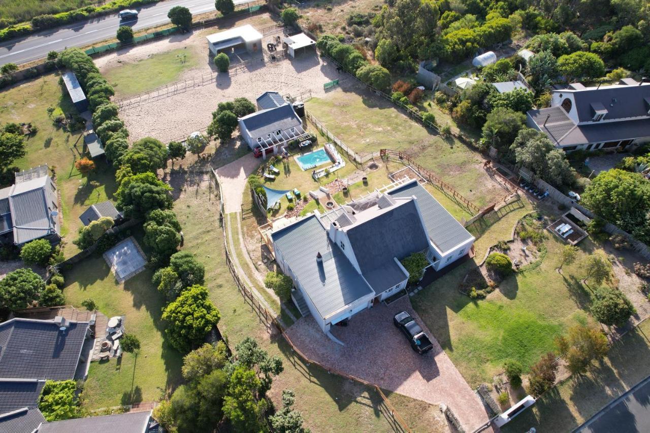 Vinistrella Villa Cape Town Exterior photo